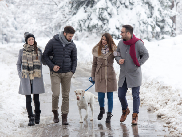 Real Estate for Pet Owners