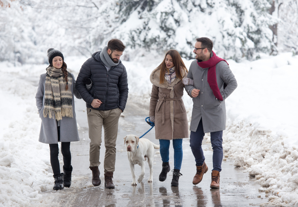 Real Estate for Pet Owners