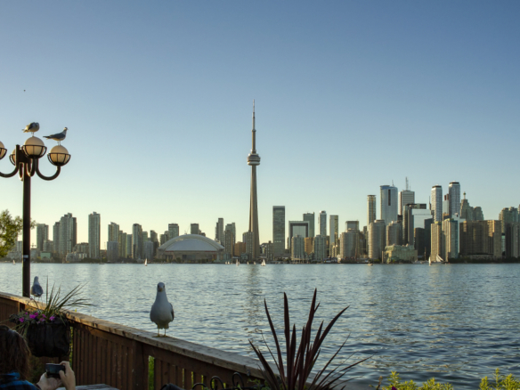 Finding a place to rent in Toronto