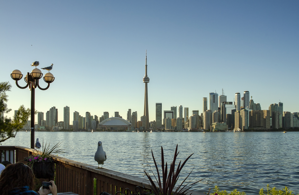 Finding a place to rent in Toronto